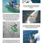 article image - 